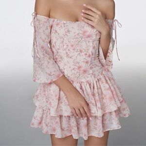 NWT ADEIRLINA Eleonora Mini Dress